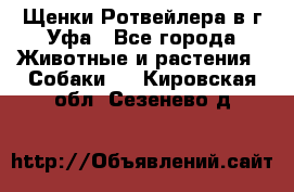 Щенки Ротвейлера в г.Уфа - Все города Животные и растения » Собаки   . Кировская обл.,Сезенево д.